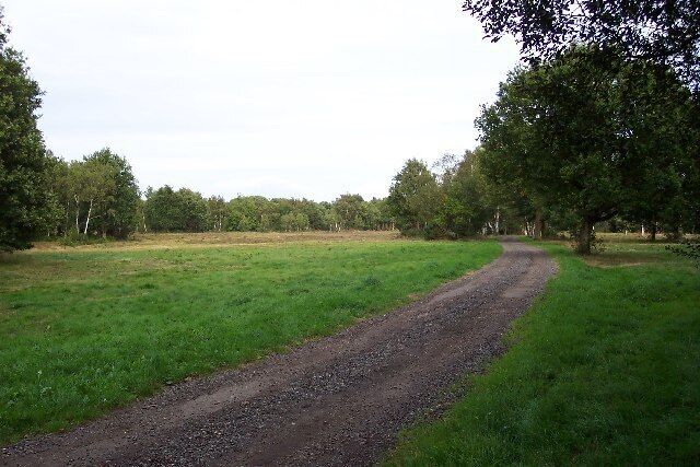 A gravel path in a grassy field with trees on both sides.
