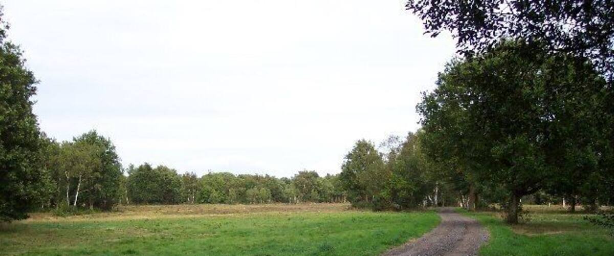 A gravel path in a grassy field with trees on both sides.