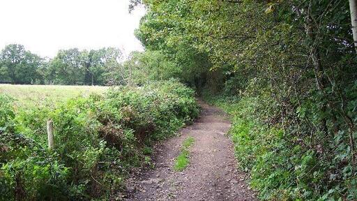 Priest Lane. Priest Lane is, nowadays, a bridle path running along the edge of the army ranges and connecting Lucas Farm Road with the delightfully-named Donkeytown. Looking north.