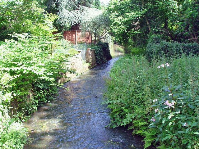 A stream in Chobham From the maps this may be called "Mill Bourne". The flow is east, away from the photographer.