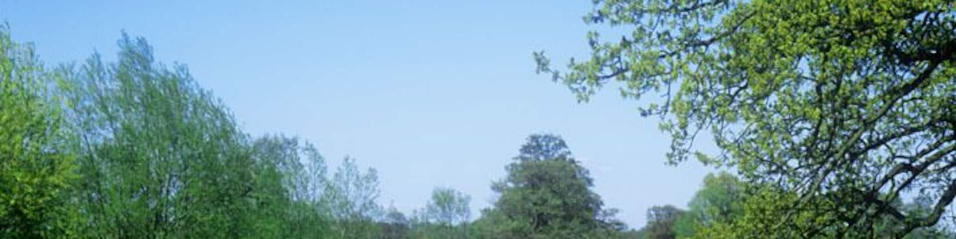 Narrowboat cruising on the River Wey Navigation downstream from Papercourt Lock Surrey England UK