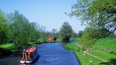 Narrowboat cruising on the River Wey Navigation downstream from Papercourt Lock Surrey England UK
