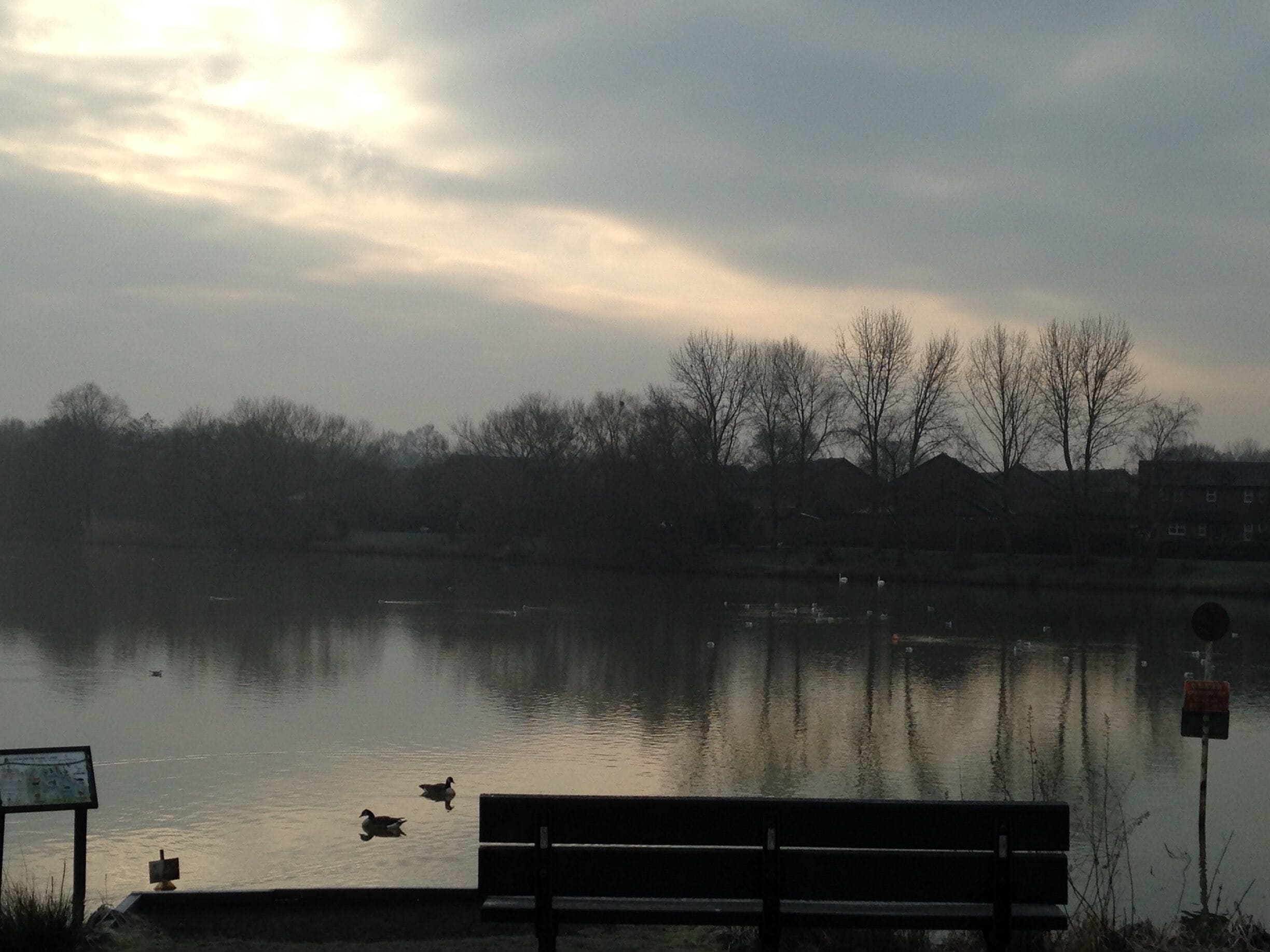A freezing morning at the lake.