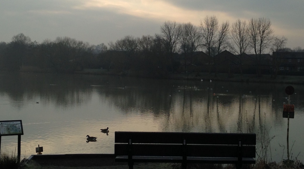A freezing morning at the lake.