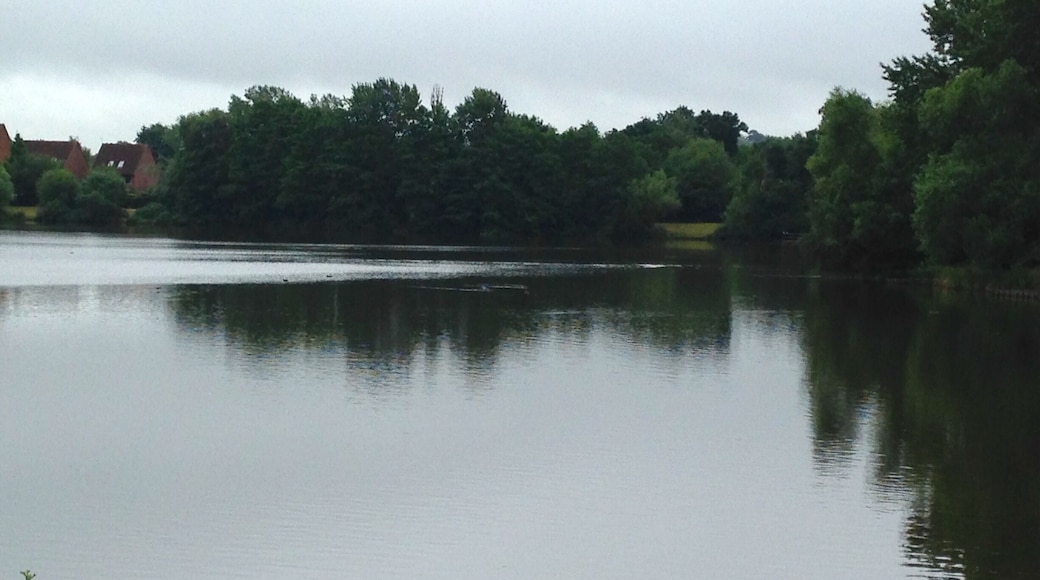 Early Summer morning.