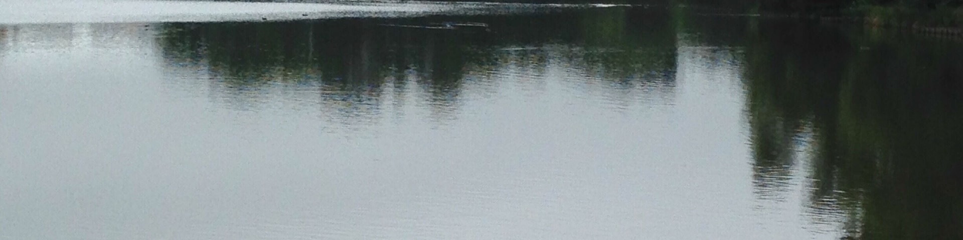 Early Summer morning.