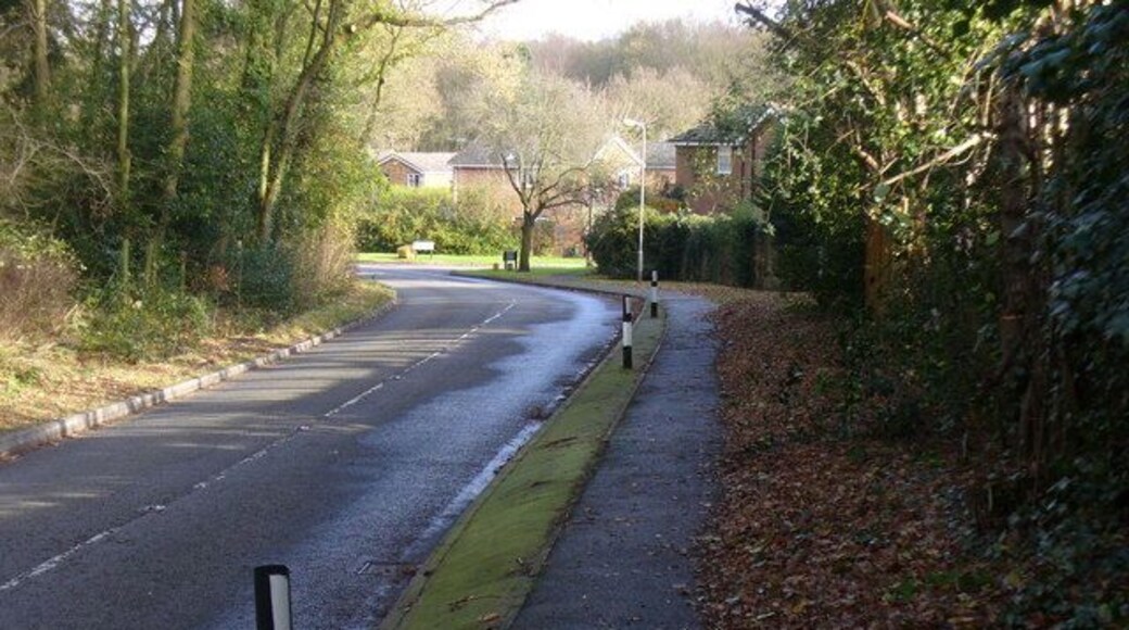 Chobham Road Rural-urban fringe here with suburban Knaphill to the right and green belt to the left (between Bisley and Woking).