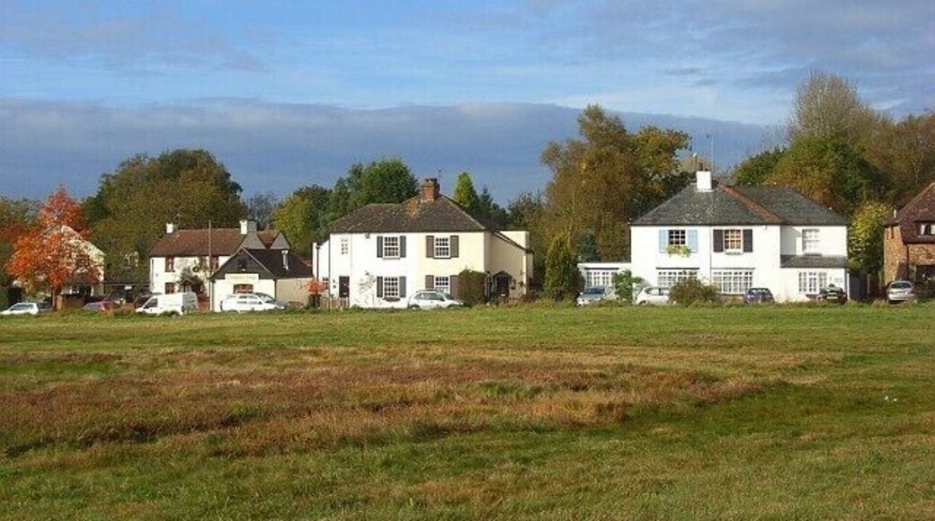 Burrowhill Green, Chobham Looking across the green, part of Chobham's extensive common lands, from the B383 Windsor Road.