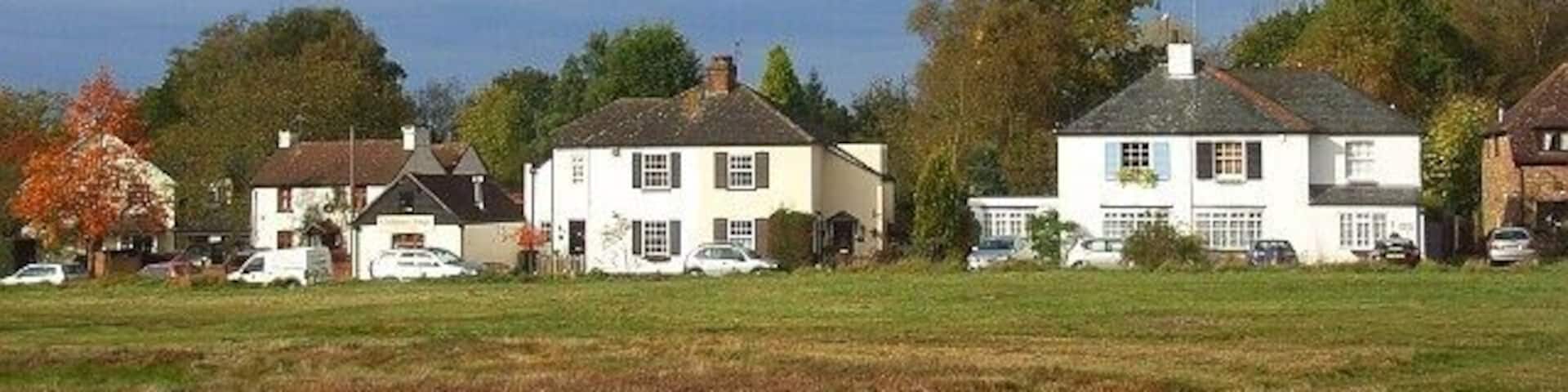 Burrowhill Green, Chobham Looking across the green, part of Chobham's extensive common lands, from the B383 Windsor Road.