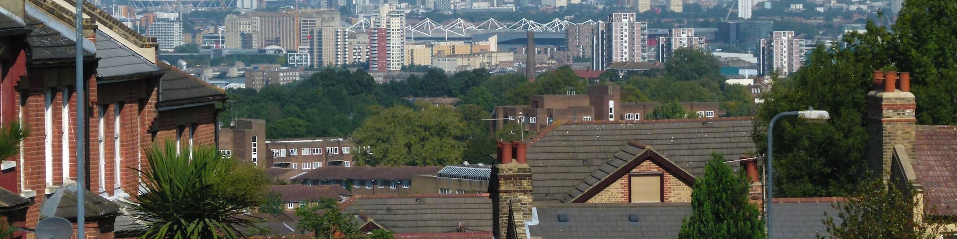 A cityscape with a mix of residential and commercial buildings, a prominent bridge, and a distant view of the sea.