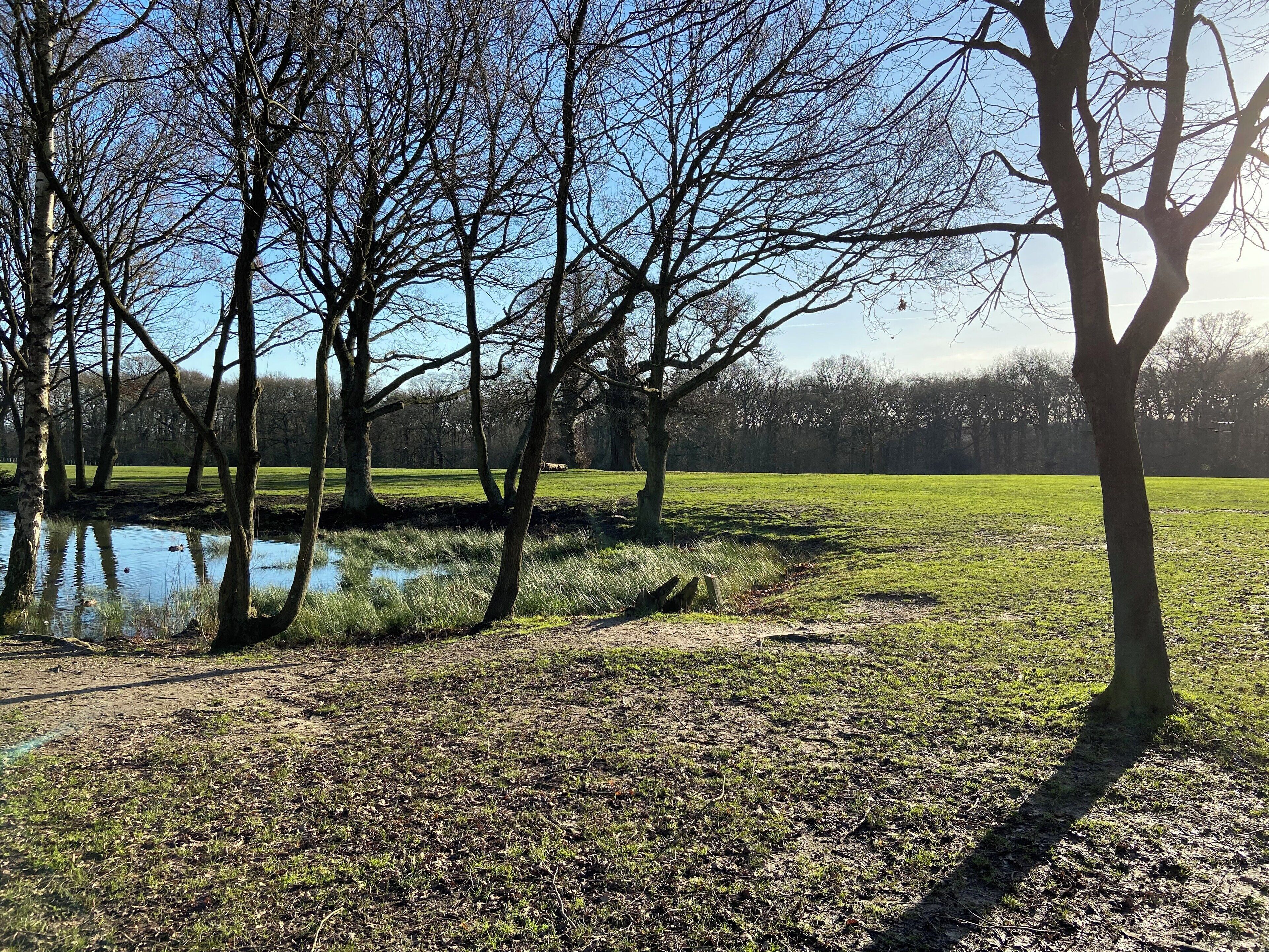 Lovely sunny day although a bit cold I enjoyed a walk with the dog x