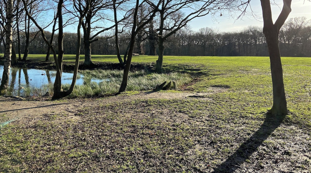 Lovely sunny day although a bit cold I enjoyed a walk with the dog x