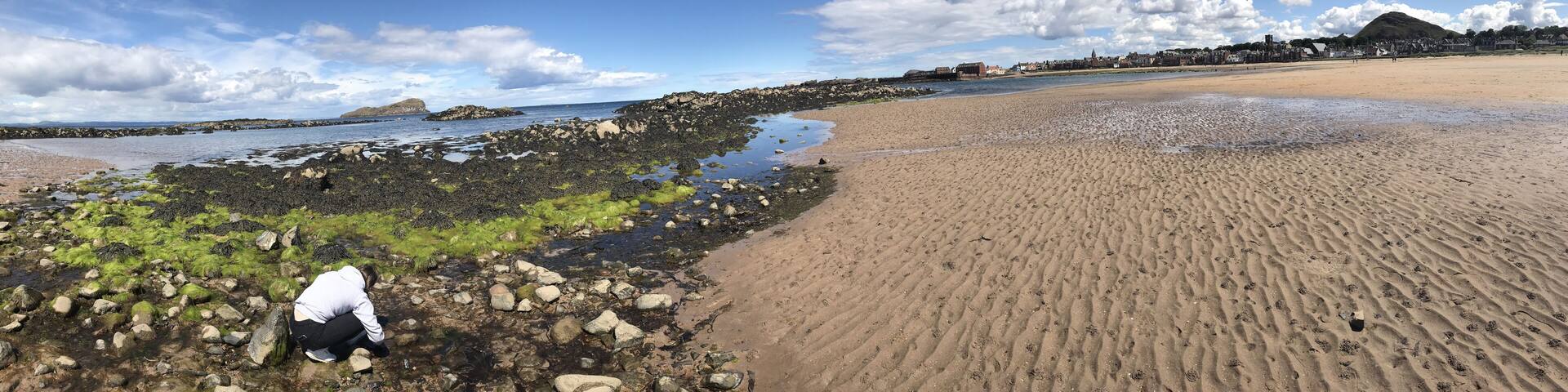 A beach with rocky shores, clear water, and a distant town.