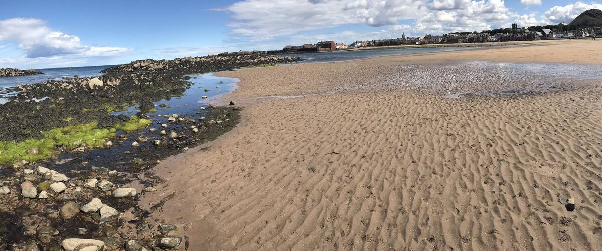 A rocky shoreline with tide pools, a sandy beach, and a distant town with buildings.