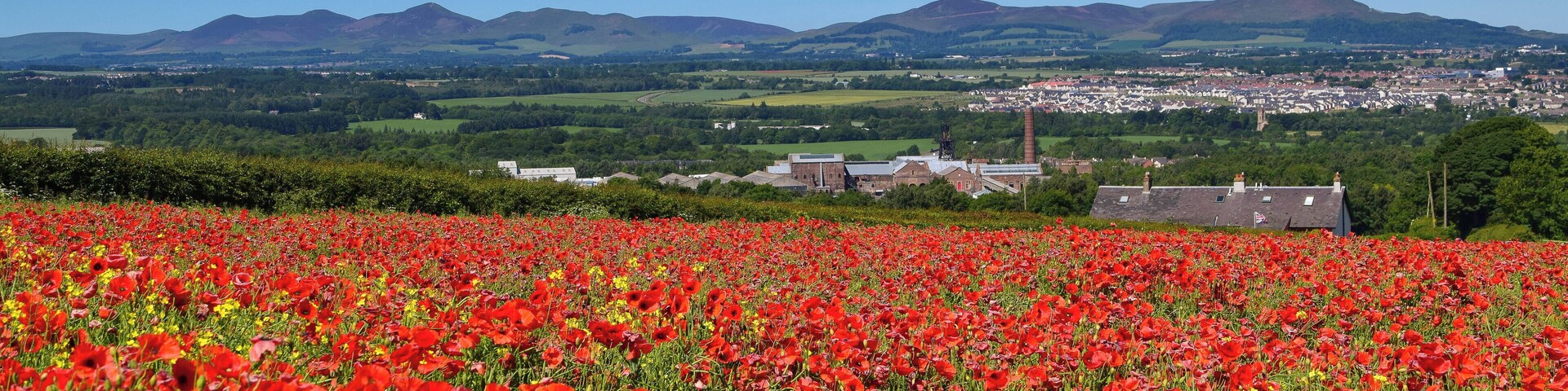 A fantastic spot with great views to the Pentland Hills, Edinburgh and Fife. At this time of the year the poppies are on show