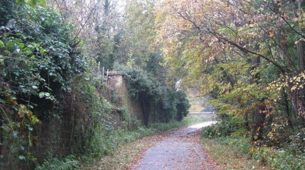 Path in the River North Esk Valley Along the route of an old railway line, and part of National Cycle Network #1. Just ahead out of sight beyond the bend it joins the Penicuik - Musselburgh Foot and Cycleway.