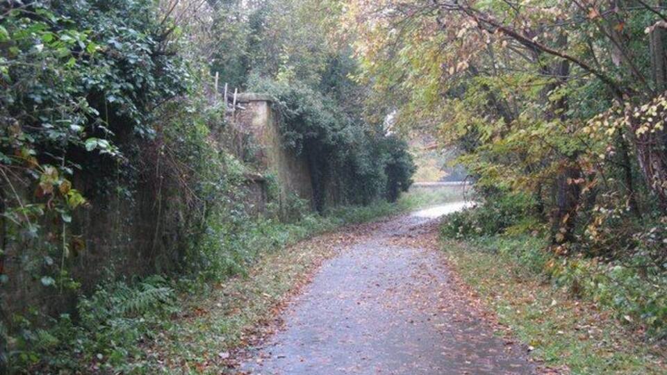 A narrow, leaf-covered path in a wooded area with dense foliage on both sides.