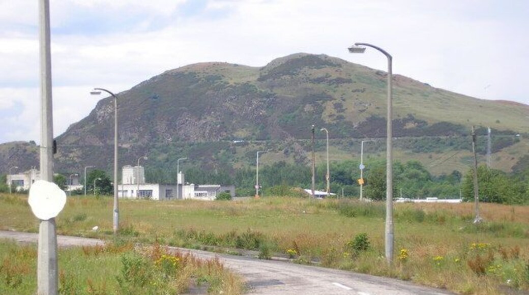 A street with no houses in Craigmillar The view of street where the houses have been demolished and have been replaced by grass and weeds. Arthur's Seat can be seen in the background.