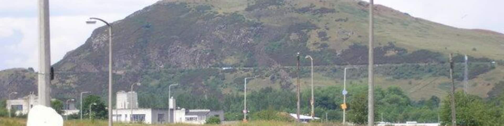 A street with no houses in Craigmillar The view of street where the houses have been demolished and have been replaced by grass and weeds. Arthur's Seat can be seen in the background.