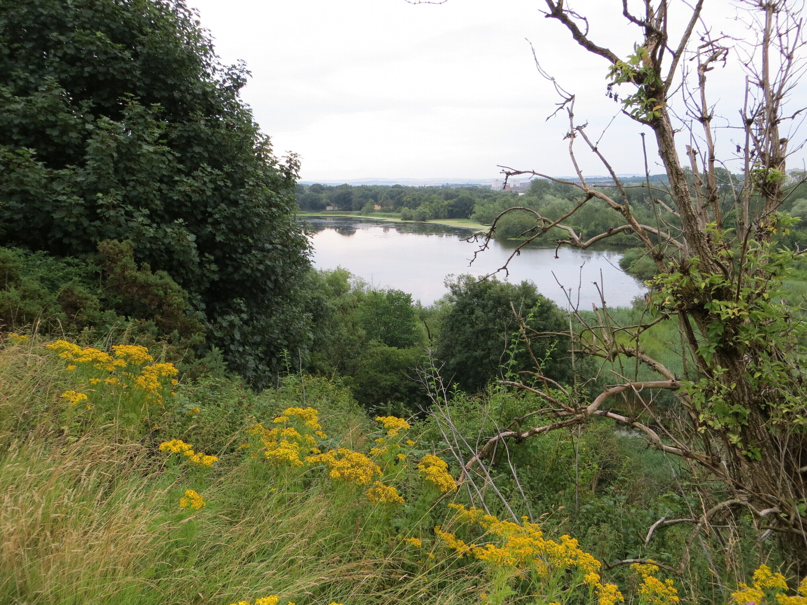 Duddingston Loch, July 2013