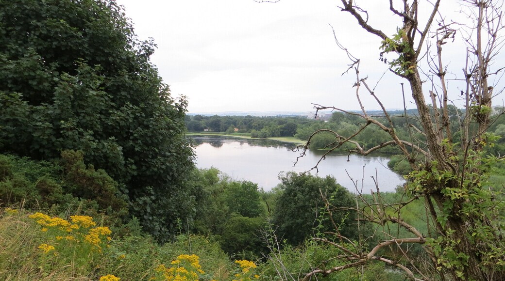 Duddingston Loch, July 2013