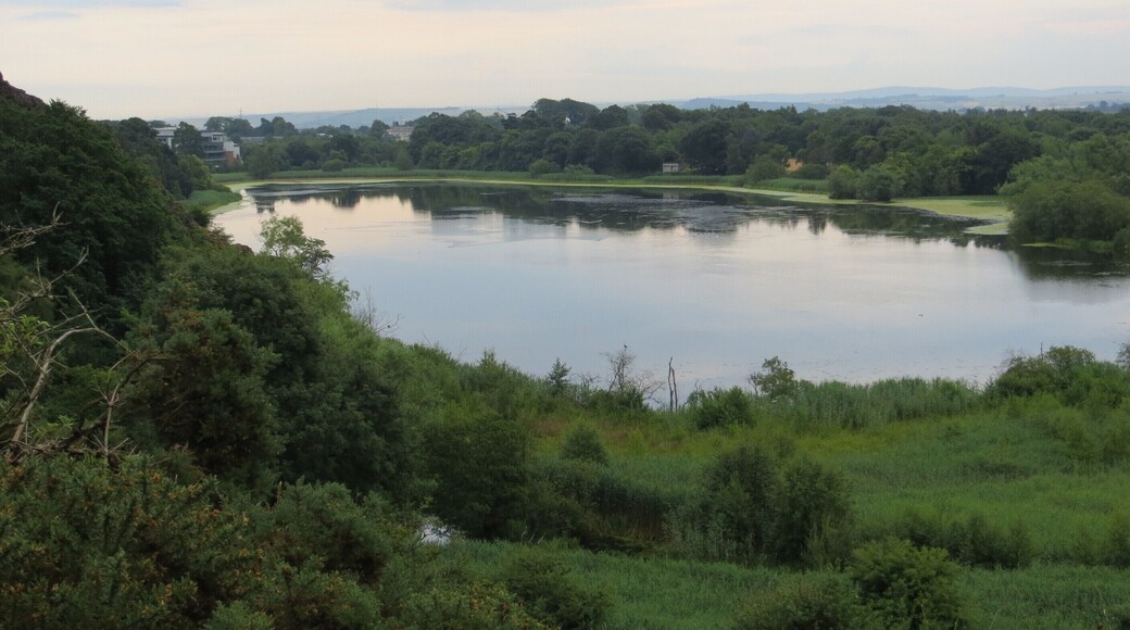 Duddingston Loch, July 2013