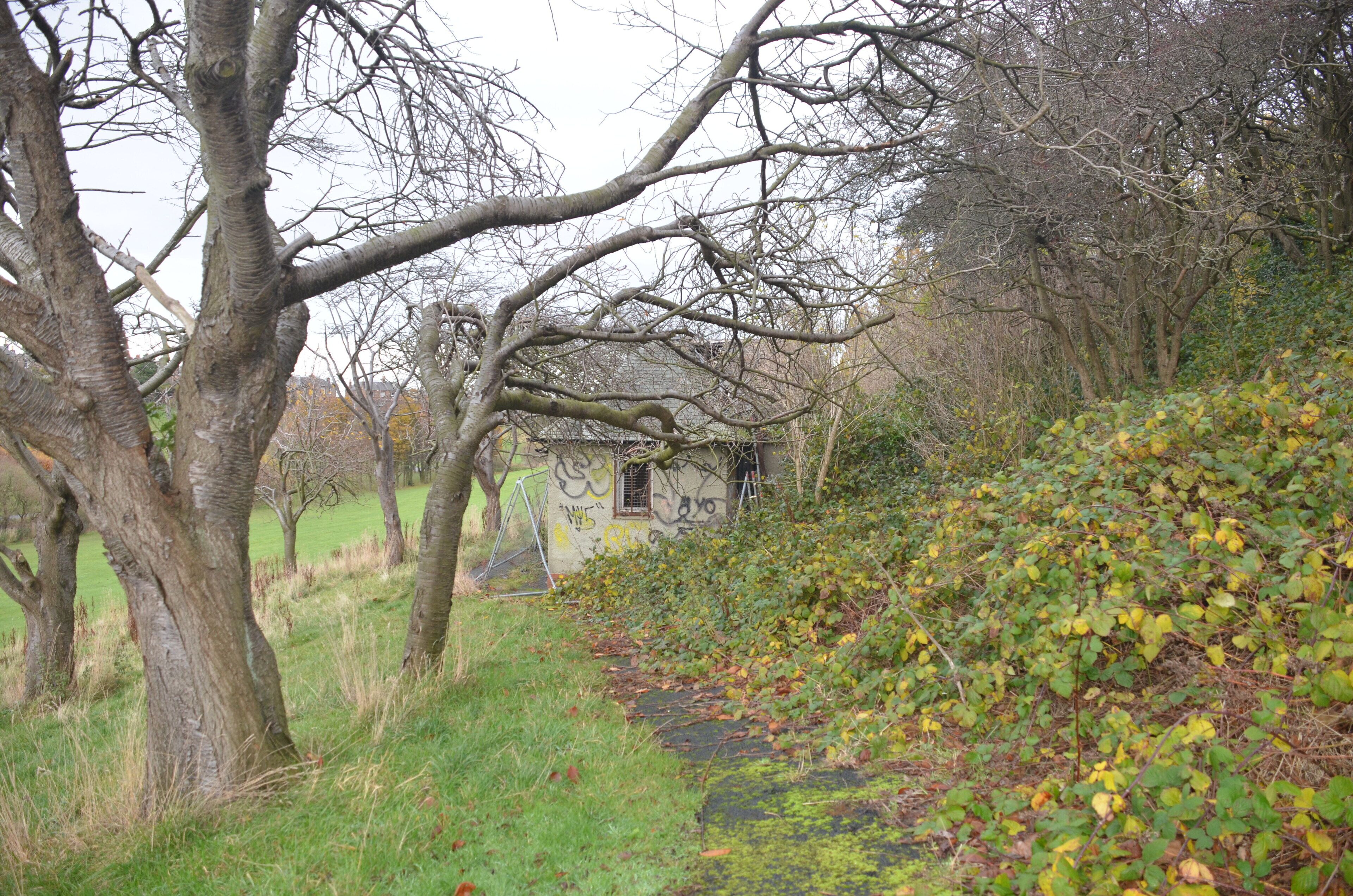 Despite this park being my extended playground I don't remember this building at all.
