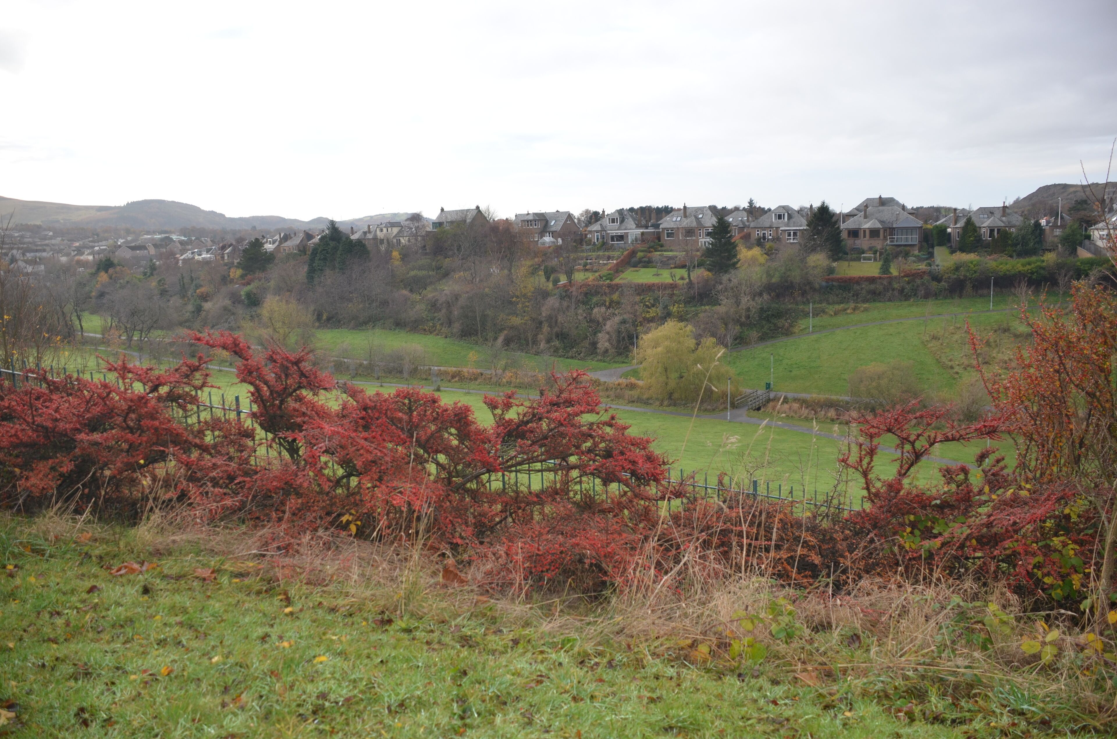 Braidburn Valley Park, Edinburgh, Nov 2013