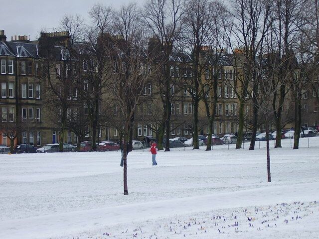Harrison Gardens Shandon Viewed from Harrison Park