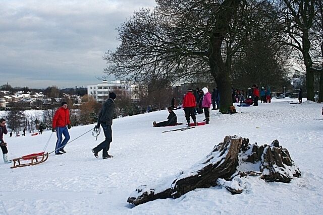 Enjoying the Snow On a fine winter Sunday there were literally hundreds of people of all ages sledging on the slopes above the playing fields at the Mary Erskine School.