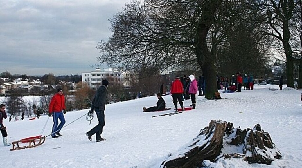 Enjoying the Snow On a fine winter Sunday there were literally hundreds of people of all ages sledging on the slopes above the playing fields at the Mary Erskine School.