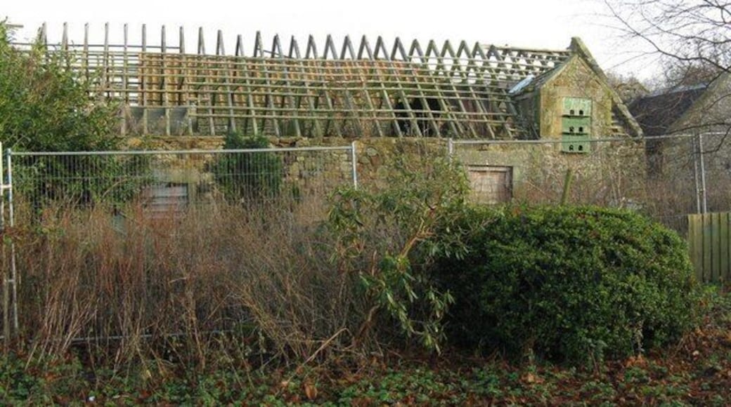 Roof trusses at Blinkbonny Old farm buildings in the process of redevelopment - or at least they were before the credit crunch - not sure now - 'who will buy my new houses?'