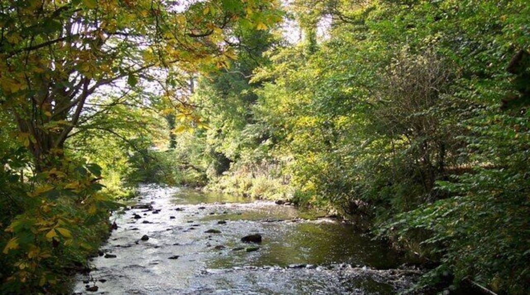Water of Leith Currie Edinburgh Water of Leith as it runs through the east side of Currie Edinburgh in 2007