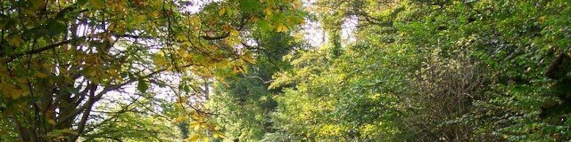 Water of Leith Currie Edinburgh Water of Leith as it runs through the east side of Currie Edinburgh in 2007