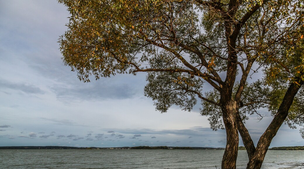 ์๋ธ๋์ฒด๋ณด