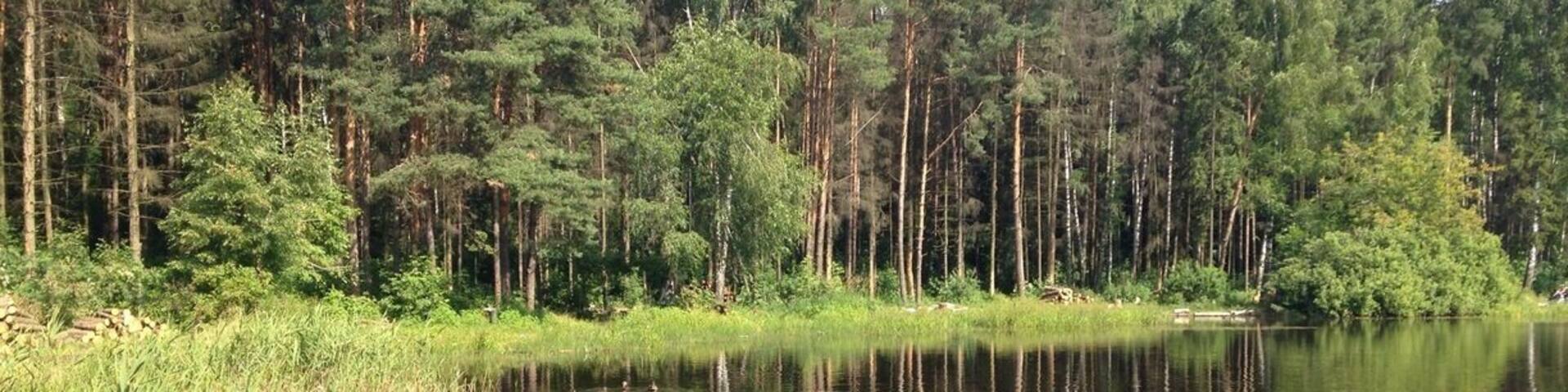 Озеро в 25 мкр. Балашиха