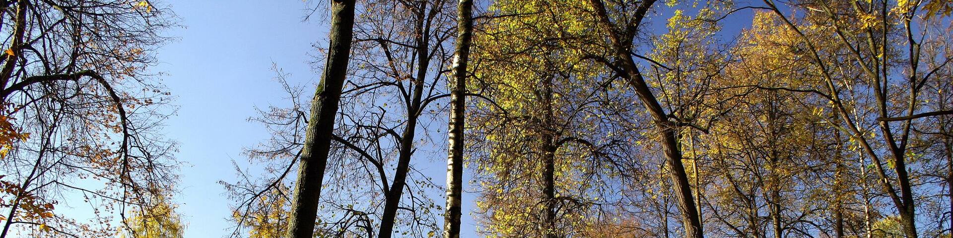 Manor of the city of Balashikha