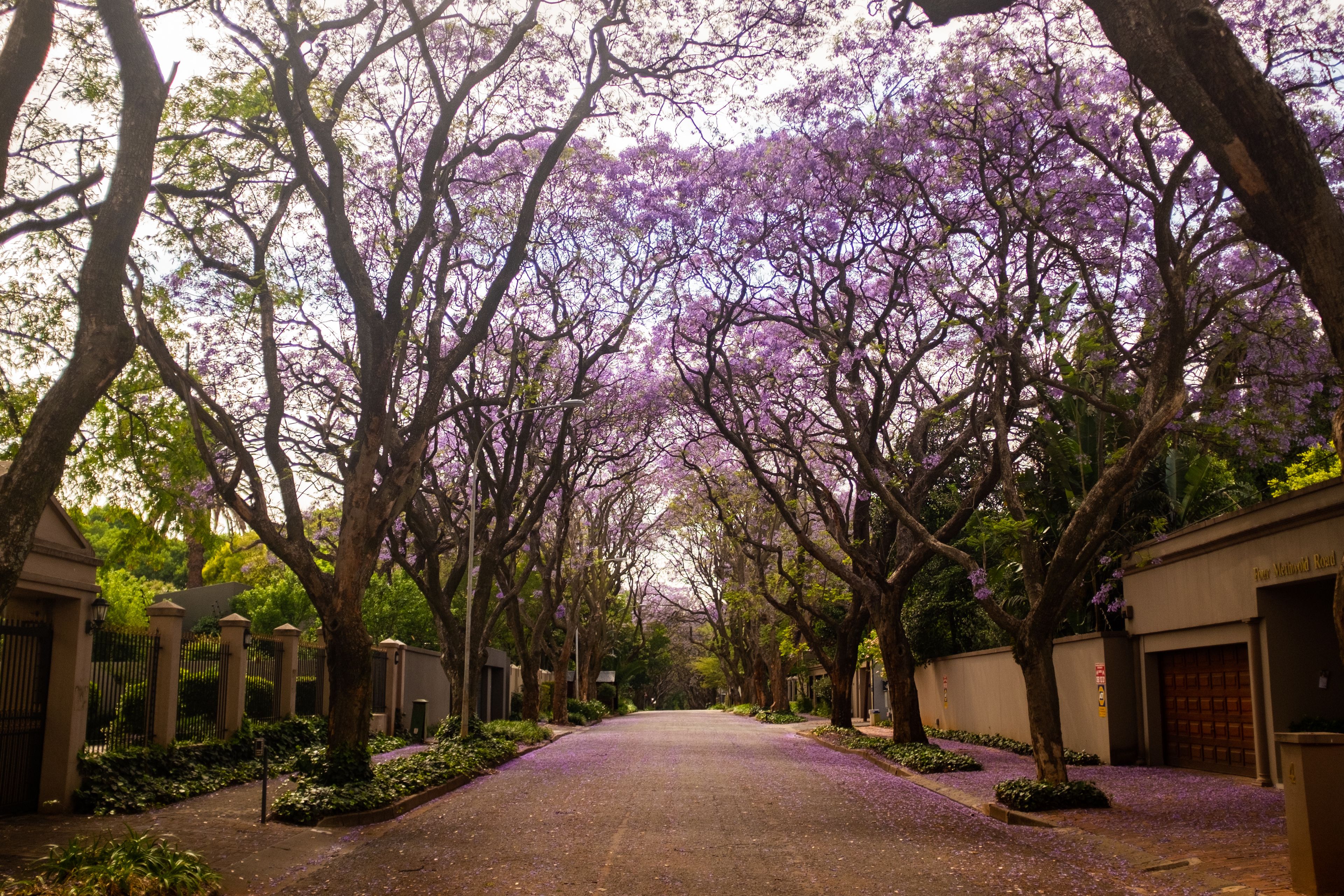 Kempton Park