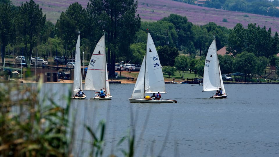 Sailboats on a lake with a forested shoreline and parked cars in the background.