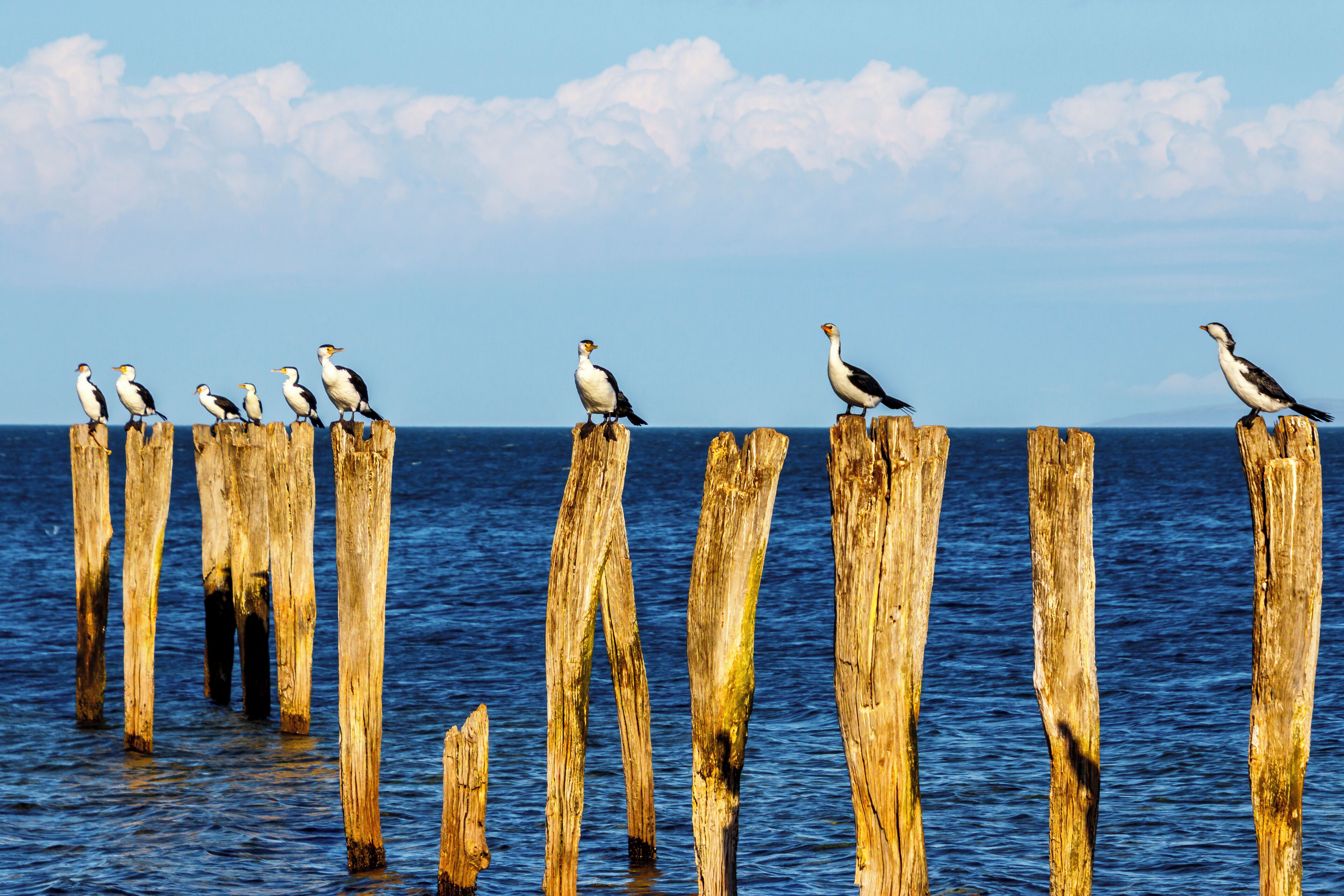 Just a walk along the beach at Kingscote