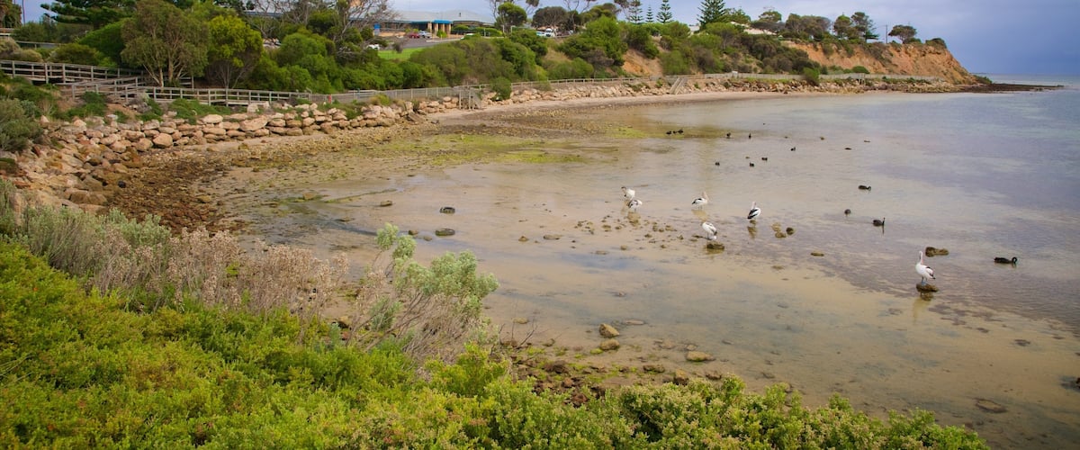 A coastal landscape with a rocky shoreline, clear water, and a variety of trees.
