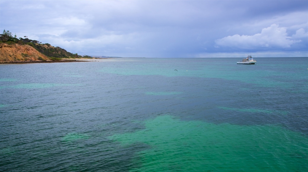 Kingscote showing general coastal views and rugged coastline