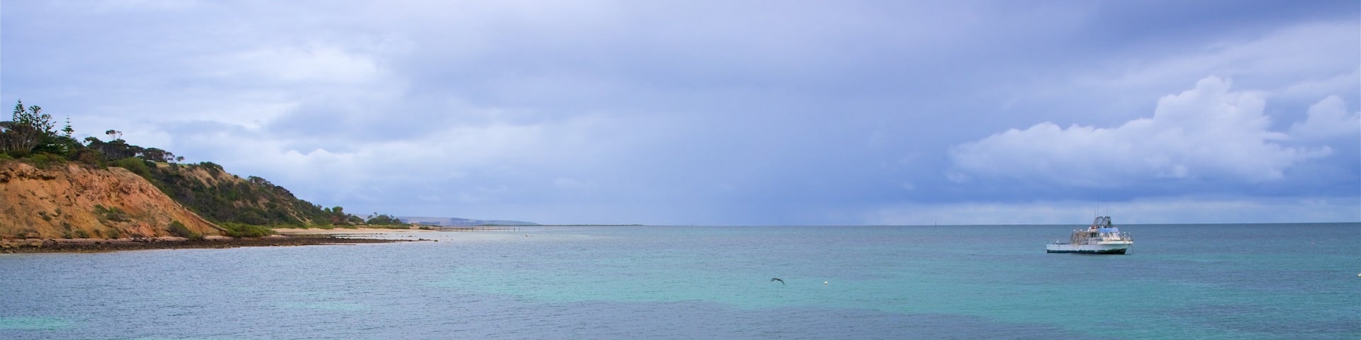 Kingscote showing general coastal views and rugged coastline