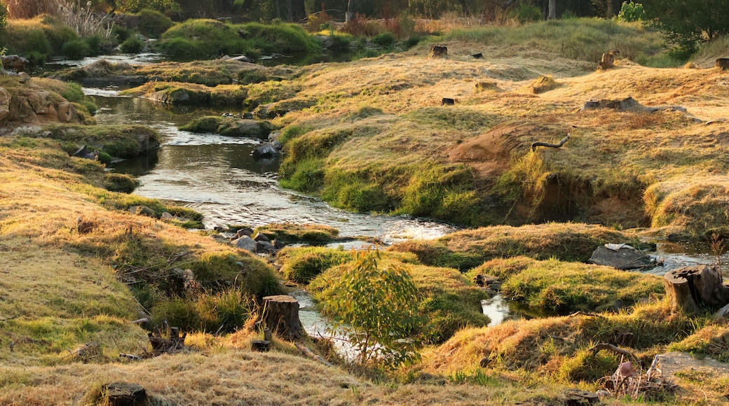 The Jukskei River is one of the largest rivers in Johannesburg, South Africa. It is the southernmost river in the Crocodile River basin.