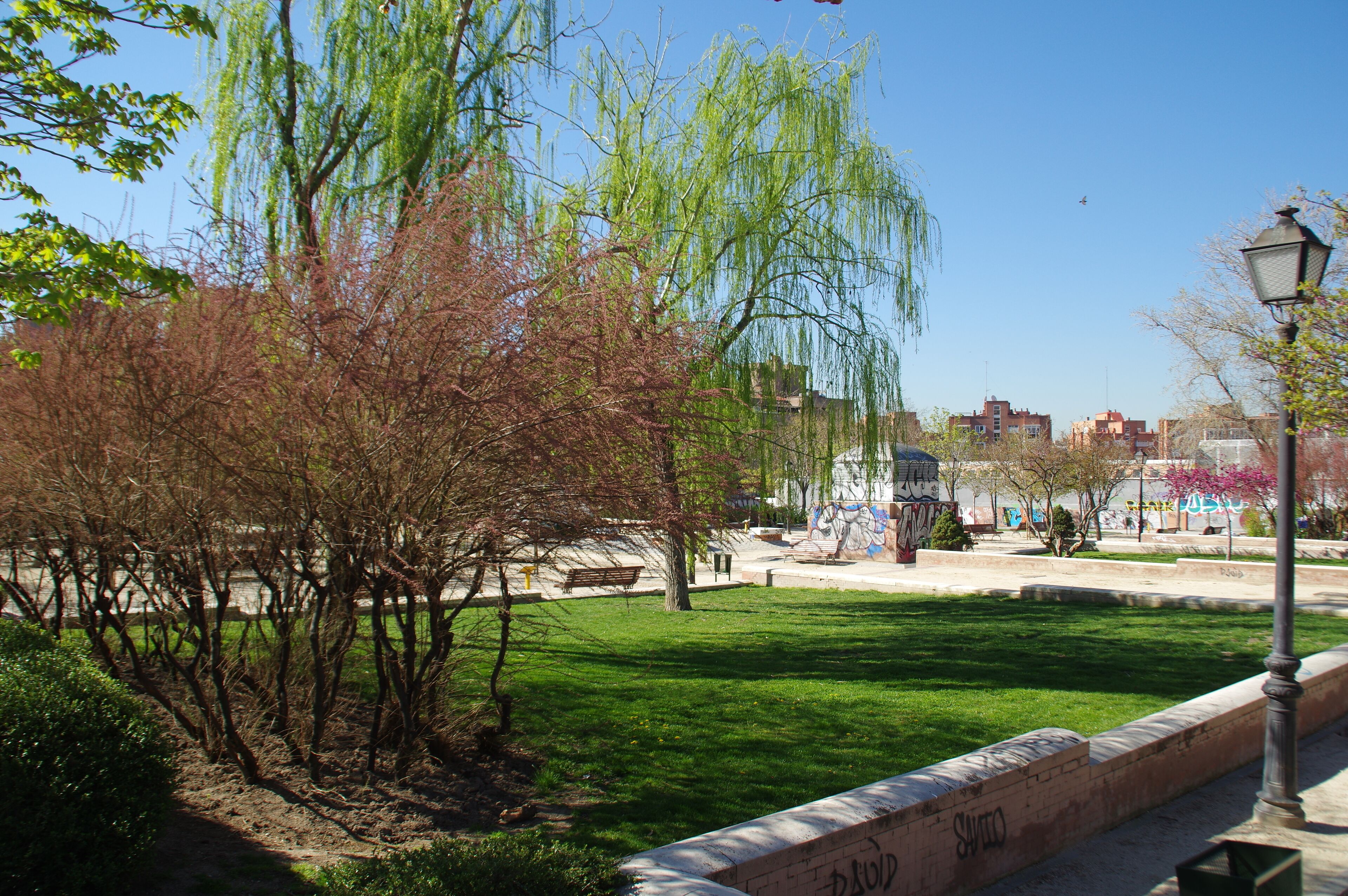 VIEW : ®'s / DiDi / RM / Ð 6K / ┼ : MADRID PARQUE de PEÑUELAS_JARDÍN