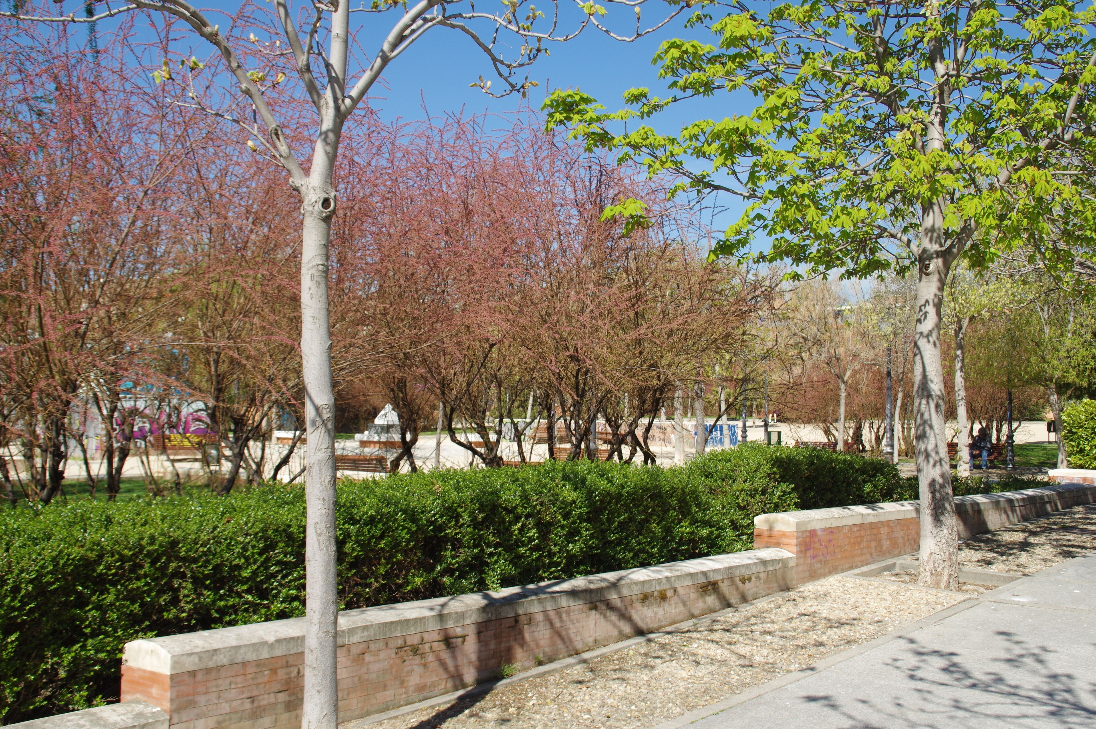 VIEW : ®'s / DiDi / RM / Ð 6K / ┼ : MADRID PARQUE de PEÑUELAS_JARDÍN