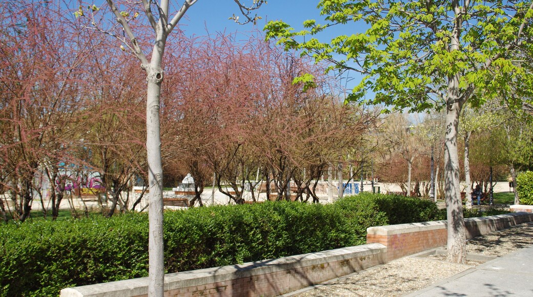 VIEW : ®'s / DiDi / RM / Ð 6K / ┼ : MADRID PARQUE de PEÑUELAS_JARDÍN