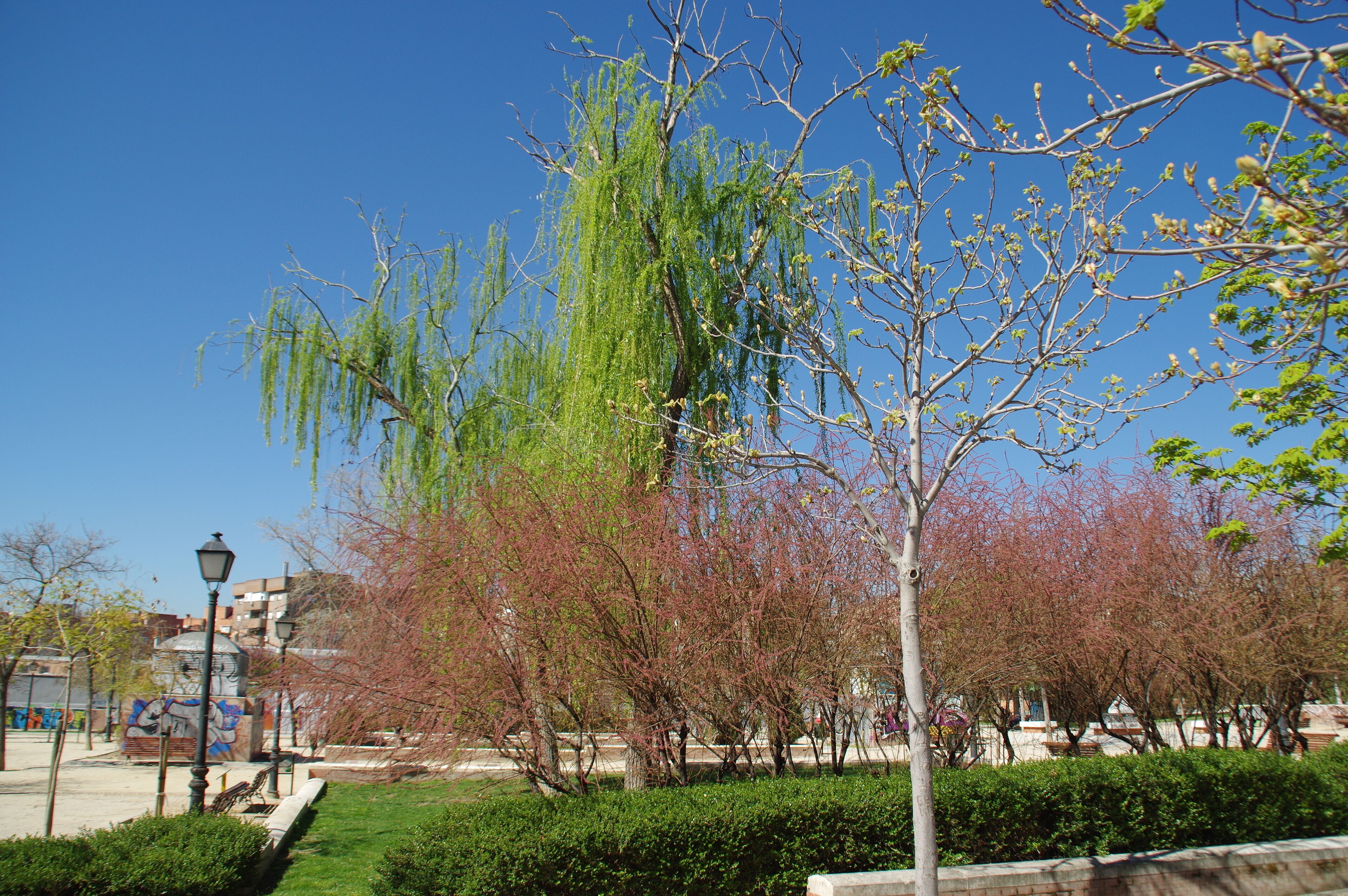 VIEW : ®'s / DiDi / RM / Ð 6K / ┼ : MADRID PARQUE de PEÑUELAS_JARDÍN