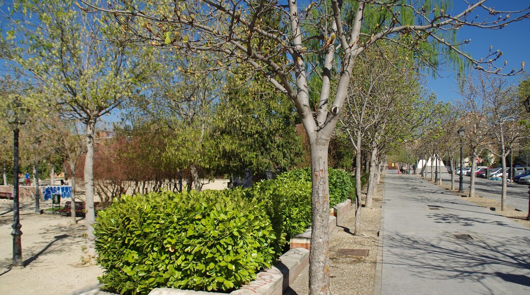 VIEW : ®'s / DiDi / RM / Ð 6K / ┼ : MADRID PARQUE de PEÑUELAS_JARDÍN