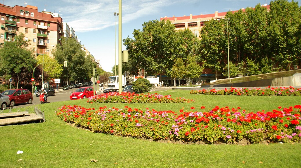 ® MADRID A.V.U. GLORIETA STA. MARIA DE LA CABEZA